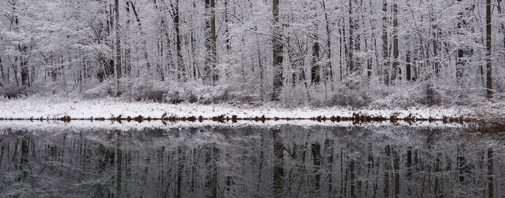 Chicago-snowy-riverbank