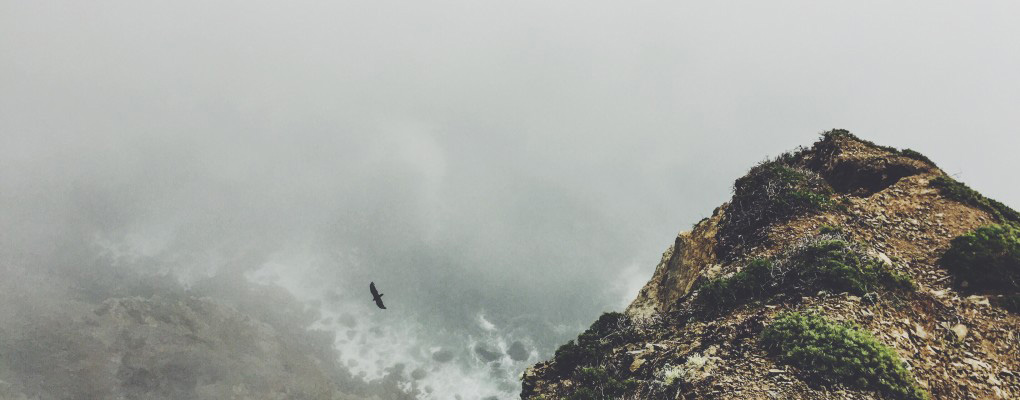 The-Shelter-of-the-Most-High